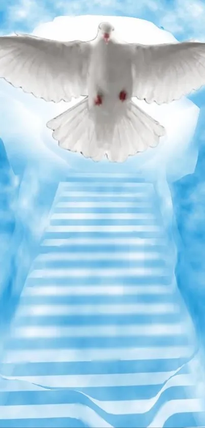 Heavenly blue stairs with a flying white dove.