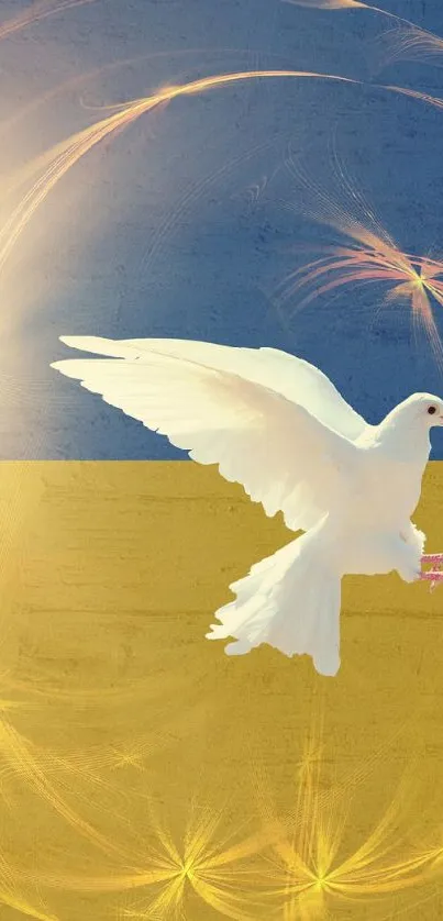 White dove flying in sunlit glow on blue and yellow background.