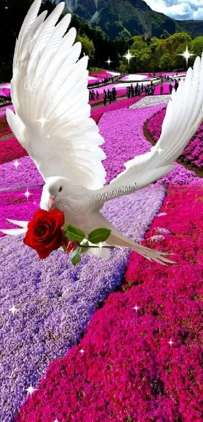 White dove with red rose in vibrant wildflowers and mountains.