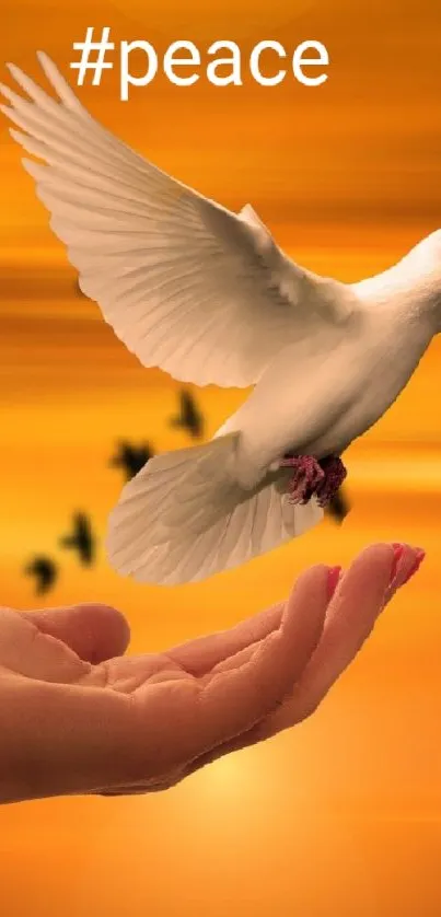 Peaceful dove flying at sunset with an outstretched hand.