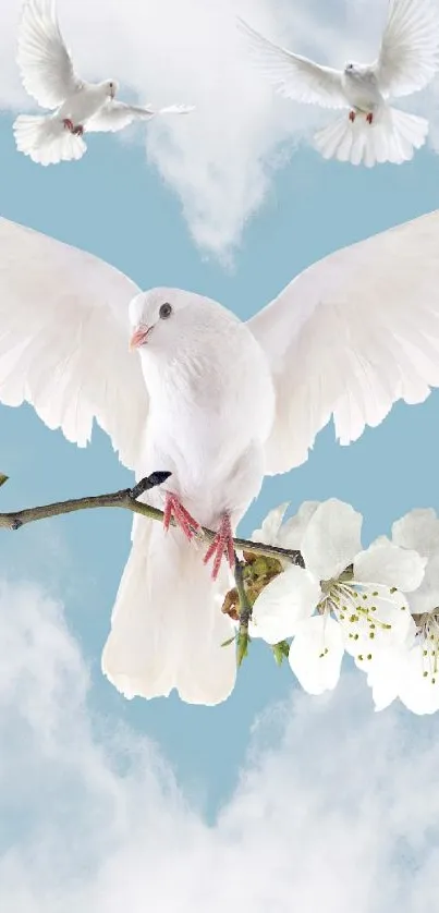 Three white doves flying over a blue heart-shaped sky with cherry blossoms.