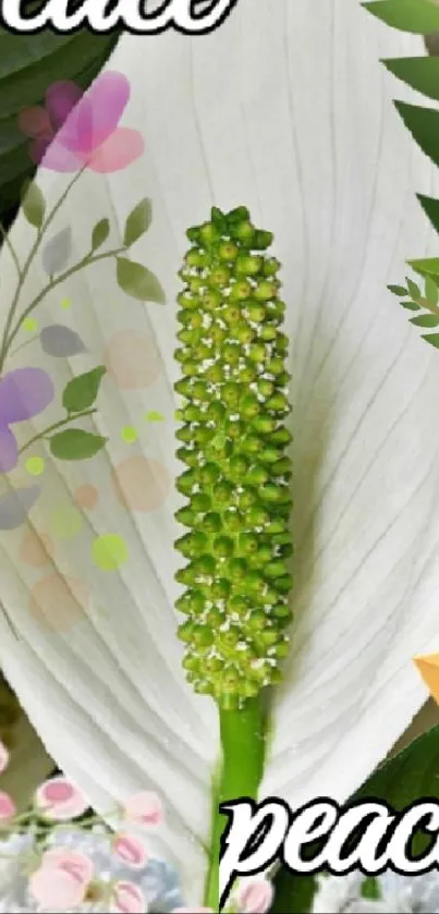 Green spadix with surrounded flowers wallpaper.