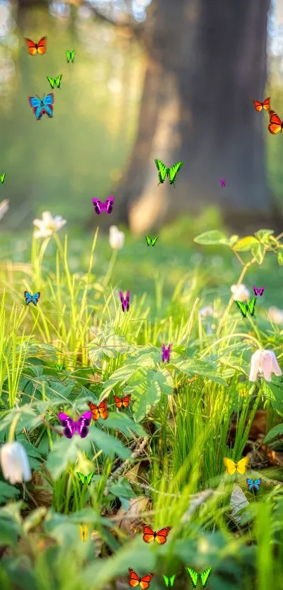 Forest floor with sunlight filtering onto flowers and greenery.