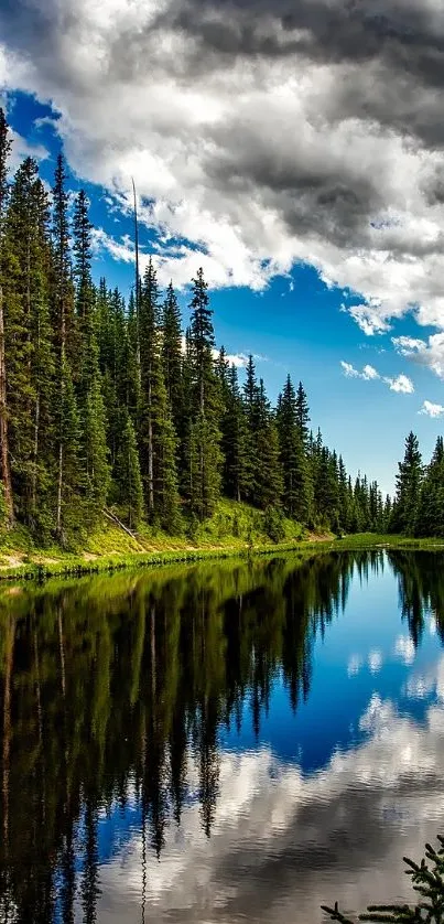 A tranquil forest lake with green trees and dramatic cloudy sky reflection.