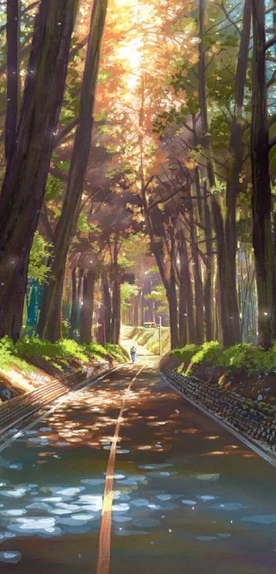 Sunlit forest path with towering trees.