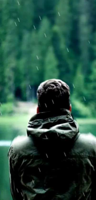 Man in jacket gazes at serene forest lake with raindrops falling.