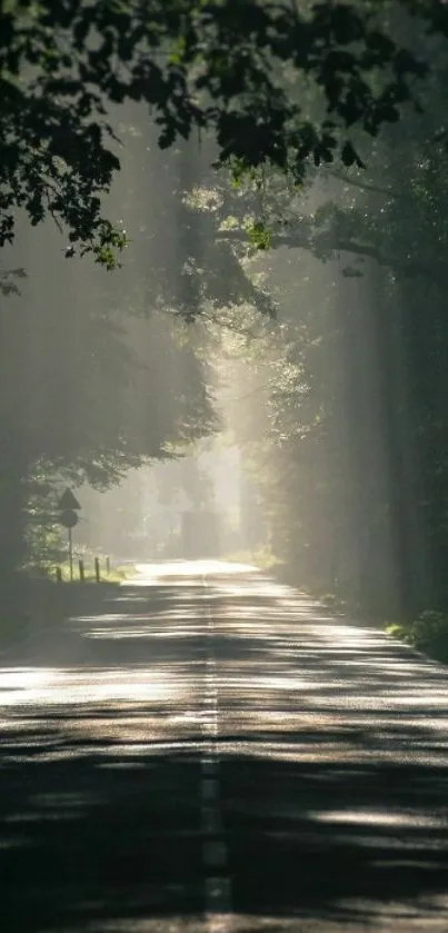 Sunlit forest road mobile wallpaper with tree canopy and sun rays.