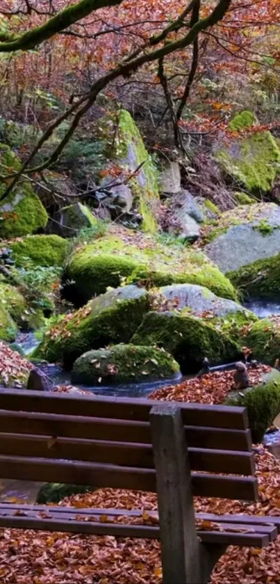 Serene forest stream with moss-covered rocks and autumn leaves.