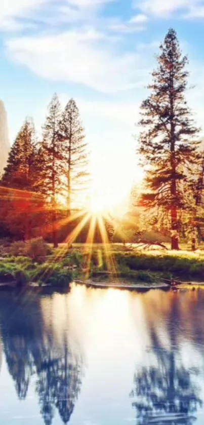 A peaceful sunrise in a forest with trees reflecting on a lake.