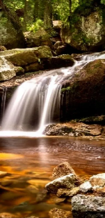 Peaceful forest waterfall amidst rocks and greenery.