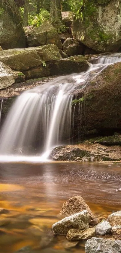 A peaceful waterfall in a lush forest setting with rocks and flowing water.