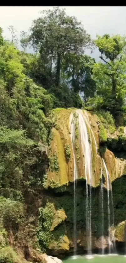 Serene waterfall nestled in lush green forest