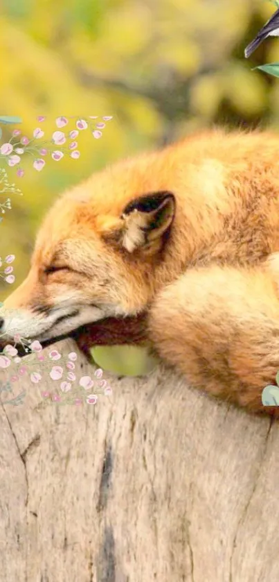 Sleeping fox with floral accents in a calm nature scene.