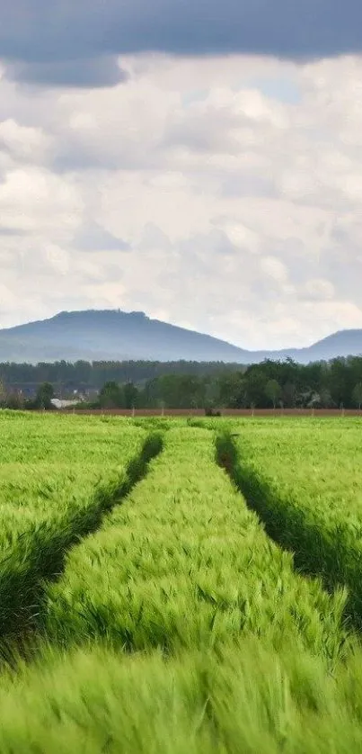 Serene green field under a cloudy sky with distant hills.