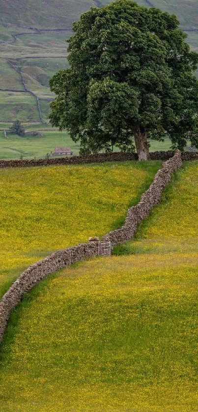 Lush green meadow with stone wall and tree in serene countryside.