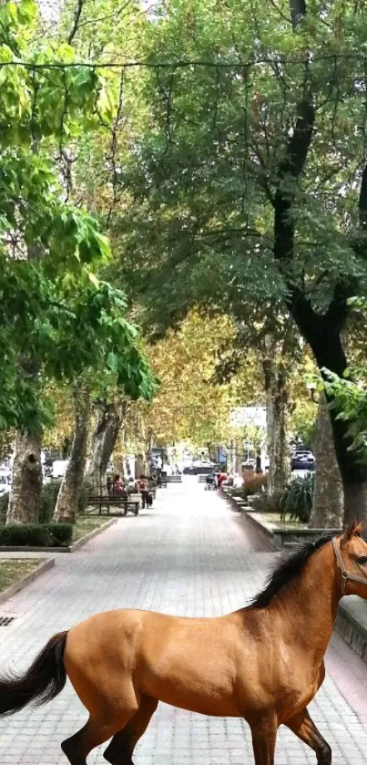 Horse walking along a leafy, serene path lined with trees.