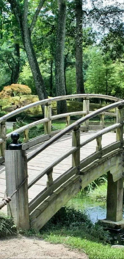 A serene wooden bridge in a lush green garden landscape.