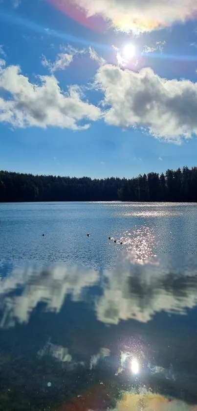 Serene lake under blue sky with cloud reflections and forest backdrop.