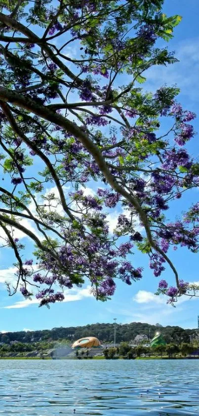 Purple flower branches over a tranquil lake under a bright blue sky.