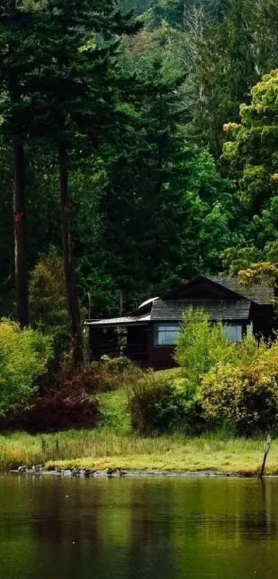 Tranquil lakeside cabin with lush greenery reflecting in the water.