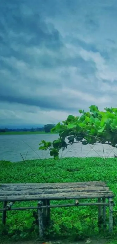 Serene lakeside scene with a bench and green tree under a cloudy sky.