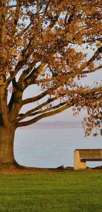 Autumn tree by a serene lakeside with green grass foreground.