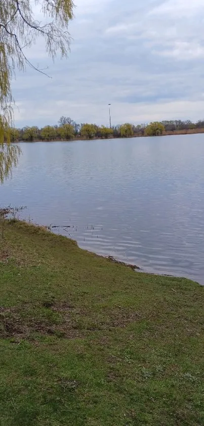 Serene lakeside with green grass and an overcast sky.