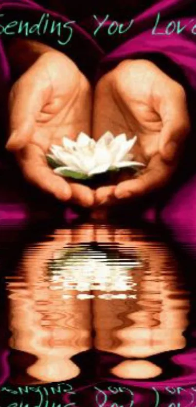 Hands hold a lotus flower over calm water reflections with pink hues.