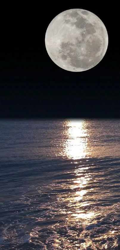 Serene moonlit ocean with shimmering reflection and a full moon in the night sky.