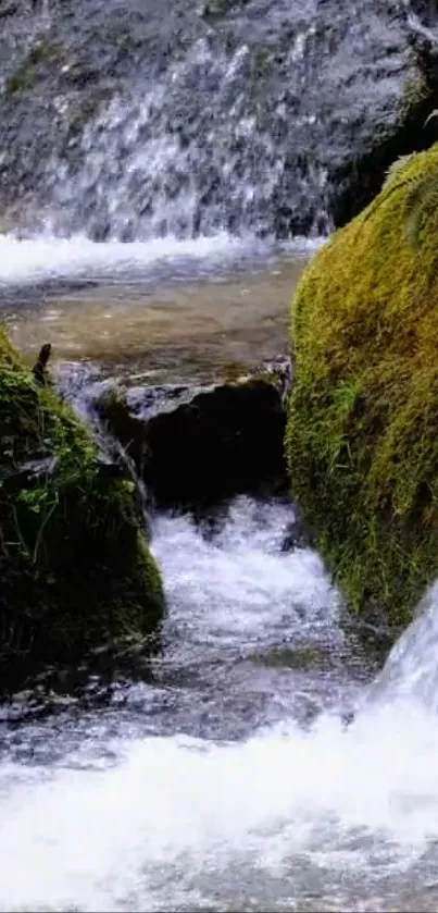 Moss-covered waterfall and stream in a peaceful natural setting.