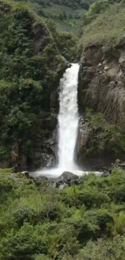 Mobile wallpaper featuring a tranquil waterfall in lush greenery.