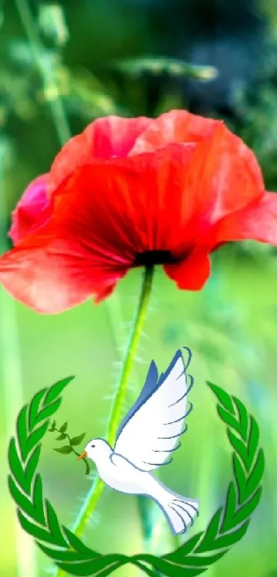 Red poppy and peace dove on green field wallpaper.