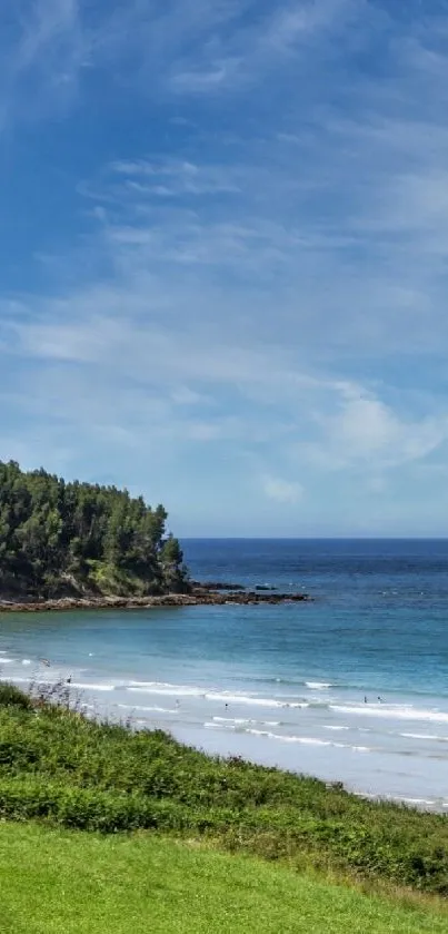 Serene beach with lush greenery and vibrant blue sky mobile wallpaper.