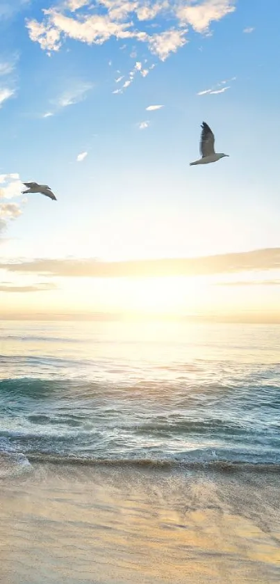 Serene ocean sunrise wallpaper with birds and gentle waves.