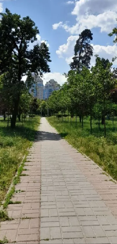 Park pathway surrounded by trees and greenery under a clear sky.