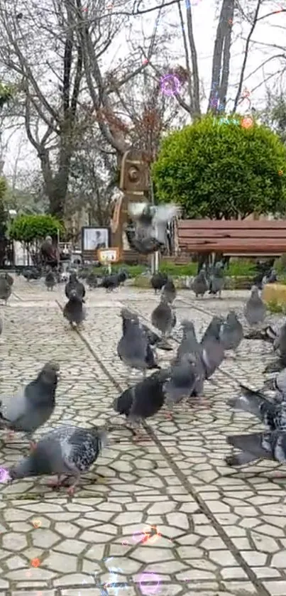 Pigeons peacefully gather on a park's tiled path surrounded by greenery.