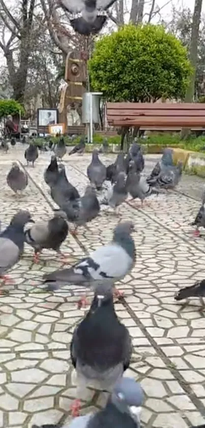 Pigeons gathering on a park pathway.