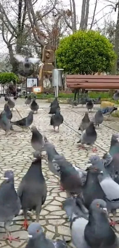 Pigeons gather on park cobblestones surrounded by greenery.