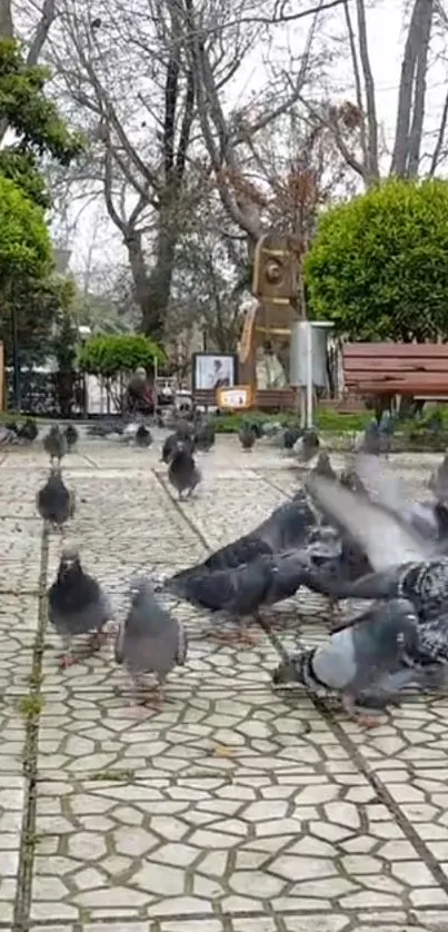 Pigeons on a park pathway with greenery.