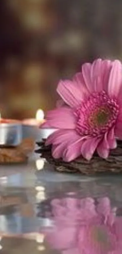 Pink flower with candles in serene setting wallpaper.