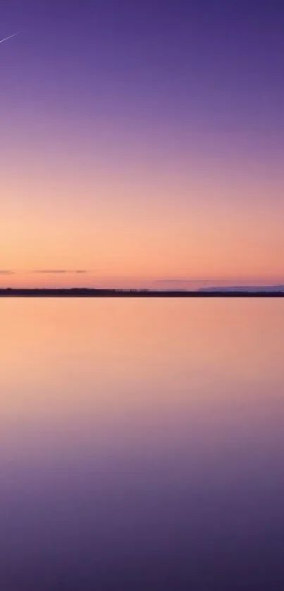 Purple sunset over calm lake with solitary tree reflection.