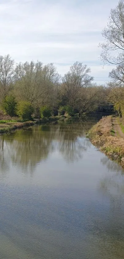 Tranquil river flowing by a green forest under a blue sky.