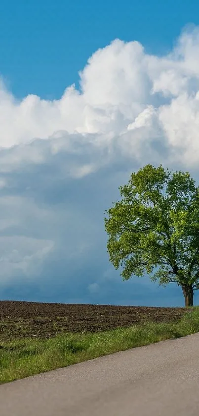 Serene rural landscape with a tree and road under a vast blue sky.