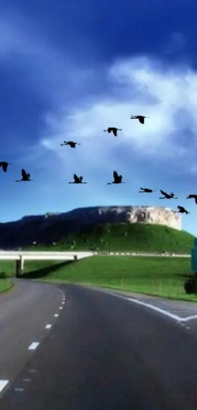 Scenic highway under a blue sky with flying birds.