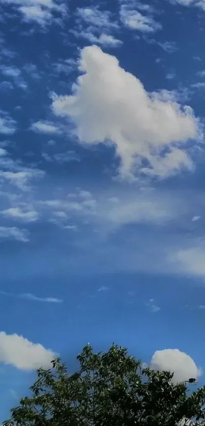 Serene blue sky with fluffy clouds and trees.