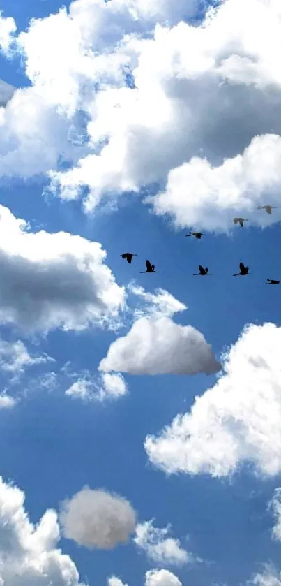 Blue sky with fluffy clouds and birds flying.