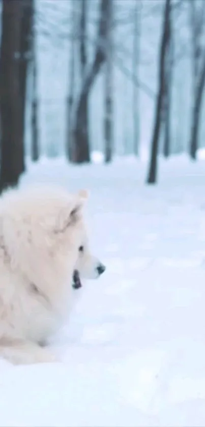 A fluffy white dog in a serene snowy forest scene.