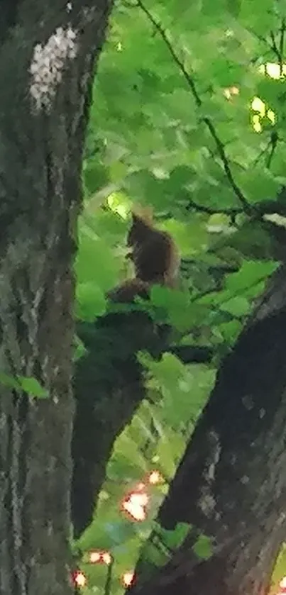 Squirrel on a tree amidst vibrant green leaves.