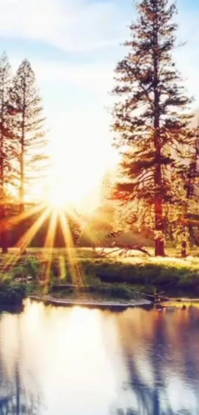 A serene sunrise over a calm lake with pine trees reflecting in the water.