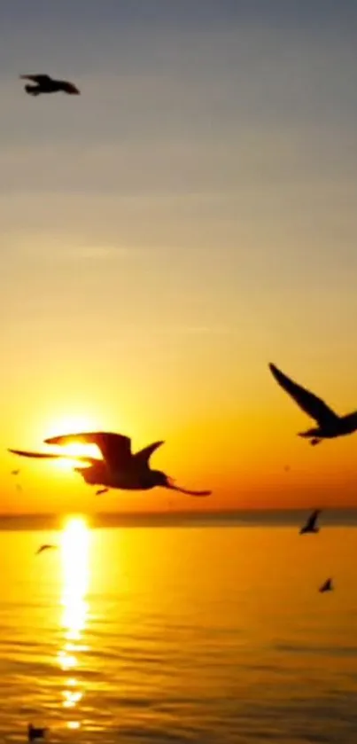 Birds flying over ocean at sunset.